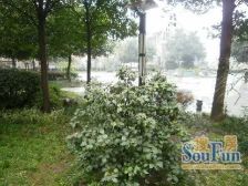 通透格局,楼层好,视野宽阔..