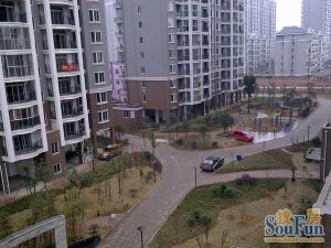 泰禹家园一期3室1厅南