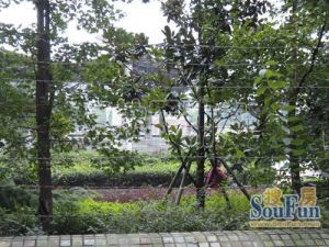 时代1001室1厅东