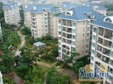 碧河花园复试精装三房 过五唯一