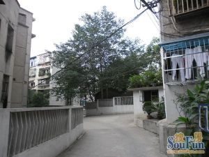 谊苑小区2室2厅南