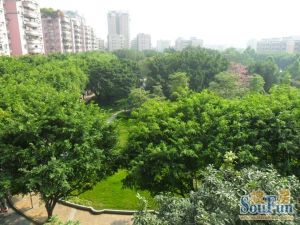 步梯低层70年产权住宅东南向阳光充足