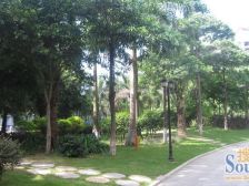 业主诚心出售,中间楼层视野开阔,可以拎包入住