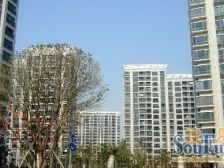 户型咨询秒发,南北大两房,板正两南北两房