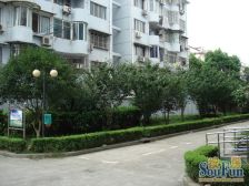 南北通透,小区中间位置,有钥匙,看中好聊