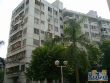 红棉苑 楼梯顶楼 天台可以用 有装修 三房出售