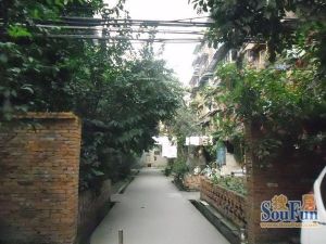 新鸿路五冶住宅区3室1厅南