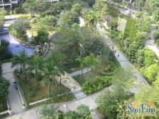 南城品质大社区宜居大别墅带3个车位约120平方花 园