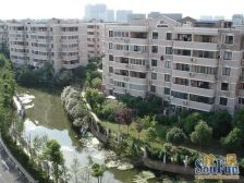 户型方正 大三房 离协和双语近