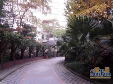 西府花园 2室1厅 东南 南 西南