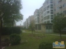 金星绿苑 2室1厅 南