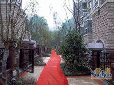 爱加欧郡6室3厅3卫南北朝向320.00万元/套出售