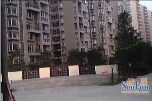 格兰鼎城3室2厅西南