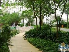 莲花路口东方明珠广场精装楼中楼建发物业小区配套完善