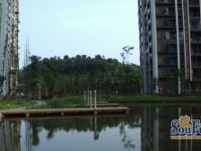 朵力6号 2室2厅 西南