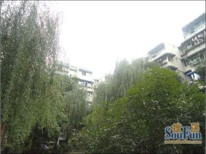 锦花苑(青羊)3室2厅南