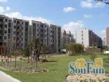 江桥一村1室南朝向175.00万元/套出售