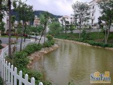 格局通透,房间多,花园大,免费停车