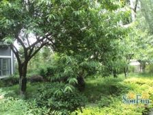 天府江南C区 2室1厅 东南