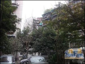 沙子堰西巷3号 2室1厅 南