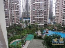 鑫苑名家一期 1室1厅 东南