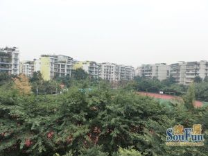 锦西民宅 2室1厅 南