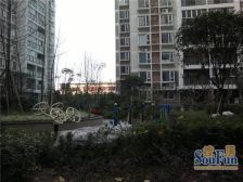 美丽南庭 1室1厅 南