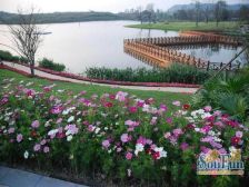 约克郡联排别墅 前后中庭住家安静舒适