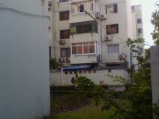 诚售房龄新,好楼层 刚需大三房,户型方 采光好无遮挡