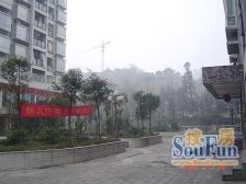 铂金云鼎 经典顶跃 清水 户型方正 可看房