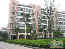 新民旺苑,交通便利,现浇房,精装修,拎包入住