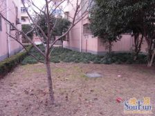 北新泾·绿新小区·1室·1厅