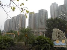 和记黄埔珊瑚水岸二期 4室1厅 南 东