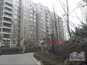 诺金山 3室2厅 东南