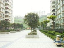 东站旁央企电梯洋房带前后花园地下室诚意出售