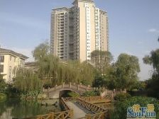 蓝光四叶城 3室1厅 东南