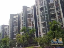 九龙坡 正规一室 业主诚心卖