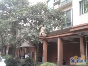 俊怡花园属于2003年楼,70年产权的住宅,去广州方便