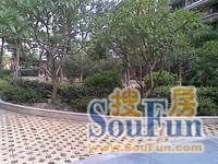 星晖园 3层 复式 装成3套 出售 包两个产权车位