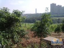 精装修 位置好 视野开阔 大露台 花园约一亩 业主诚售