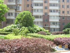 新上精装修大3室,带3个阳台,户型通透,房东诚心出售