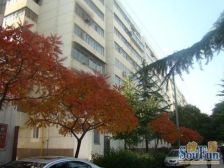 东湖小区,电梯小户型,一室一厅可以贷款精装修