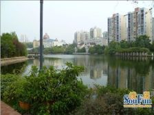 回兴 皇洋伽蓝艺墅三期二房65万