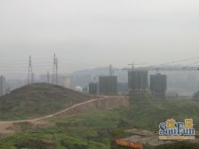 鲁能星城十二街区,初?高紫标,急售