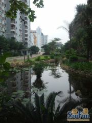 群升国际B区阳光丽景 3室1厅 南