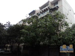 金泉阳光畅新苑2室1厅东南