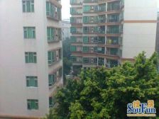 小区管理带泳池,高层可以使用天台,含家私家电