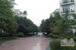 兴瑞花园 2室1厅 东