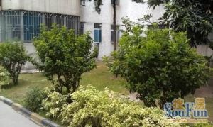 户型方正实用 满五唯一税少 看房方便