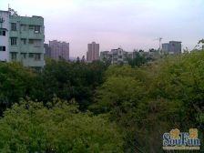 竹苑新村2室1厅东南